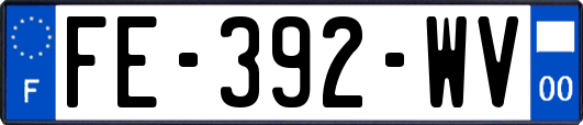 FE-392-WV