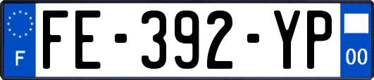 FE-392-YP