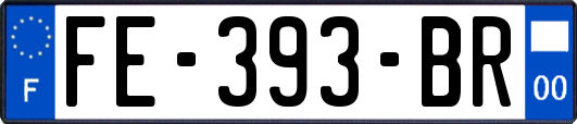 FE-393-BR