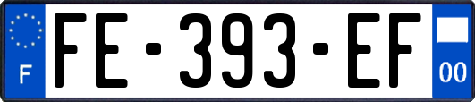FE-393-EF