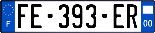 FE-393-ER