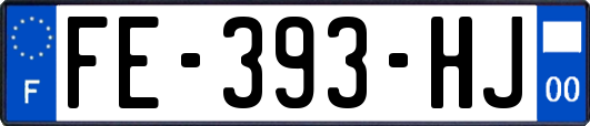 FE-393-HJ