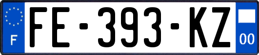 FE-393-KZ