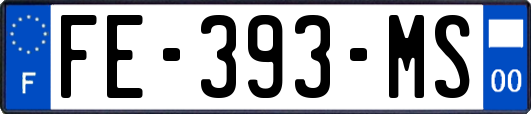 FE-393-MS