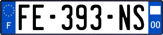 FE-393-NS