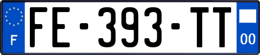 FE-393-TT