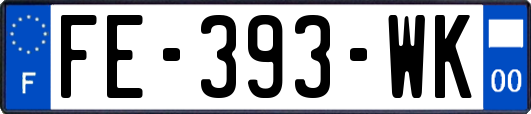 FE-393-WK