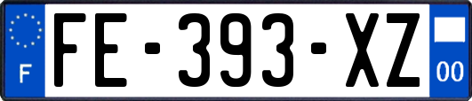 FE-393-XZ