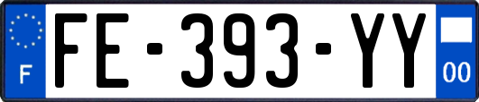 FE-393-YY