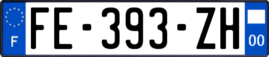 FE-393-ZH