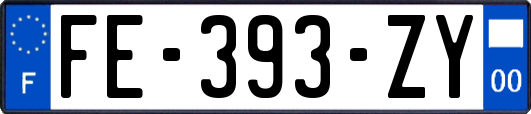 FE-393-ZY