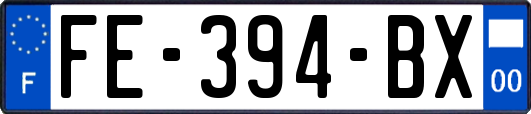 FE-394-BX