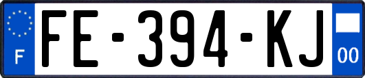 FE-394-KJ