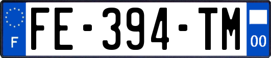 FE-394-TM