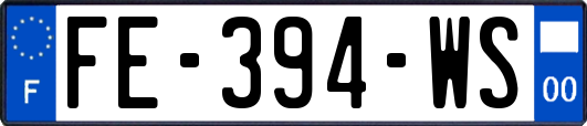 FE-394-WS