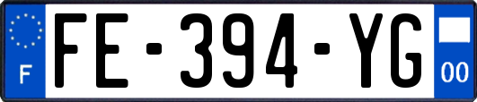 FE-394-YG