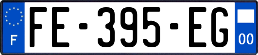 FE-395-EG