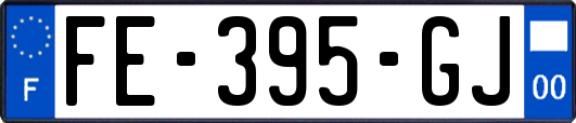 FE-395-GJ