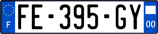 FE-395-GY