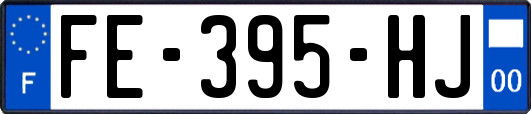 FE-395-HJ