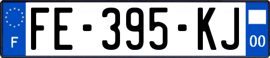 FE-395-KJ