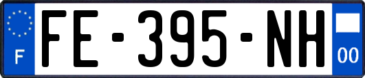 FE-395-NH