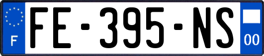 FE-395-NS