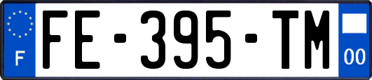 FE-395-TM
