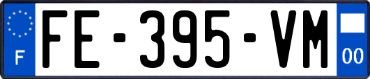 FE-395-VM