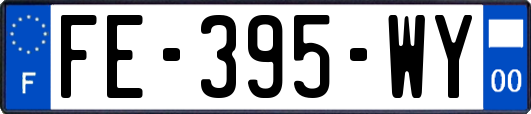 FE-395-WY