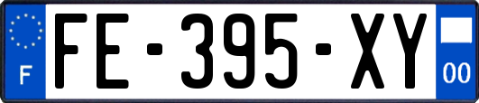 FE-395-XY