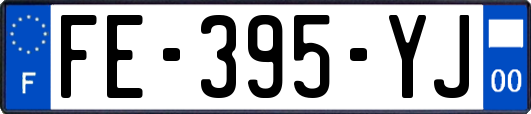 FE-395-YJ