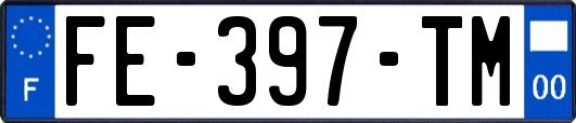 FE-397-TM