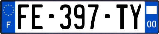 FE-397-TY