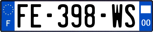 FE-398-WS