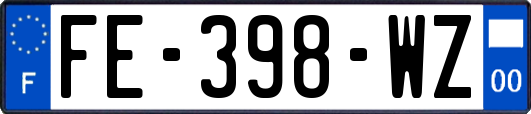 FE-398-WZ