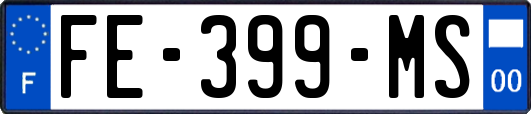 FE-399-MS