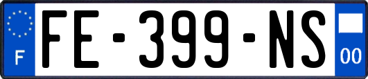 FE-399-NS