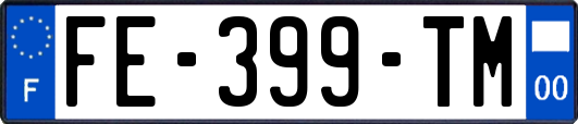 FE-399-TM