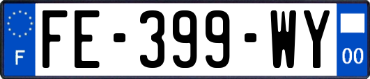 FE-399-WY