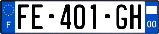 FE-401-GH