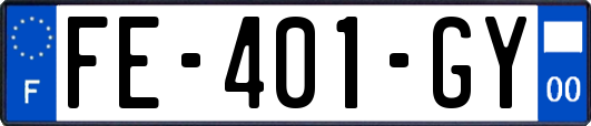 FE-401-GY