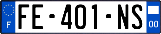 FE-401-NS