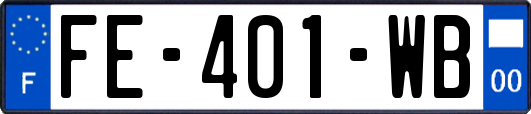 FE-401-WB