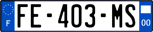 FE-403-MS