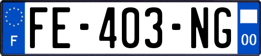 FE-403-NG