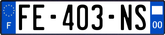 FE-403-NS