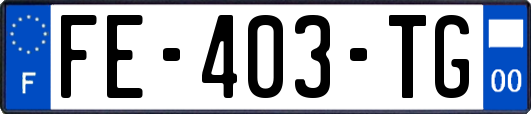 FE-403-TG