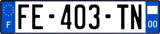 FE-403-TN