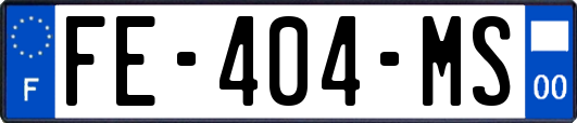 FE-404-MS